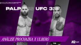 Palpites UFC 327: Prochazka x Ulberg, odds e análise da luta principal