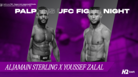 banner com o texto Palpites e imagem dos lutadores Sterling e Zalal