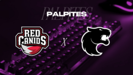 banner com o título "Palpites" e os escudos dos times Red Canids e Fúria